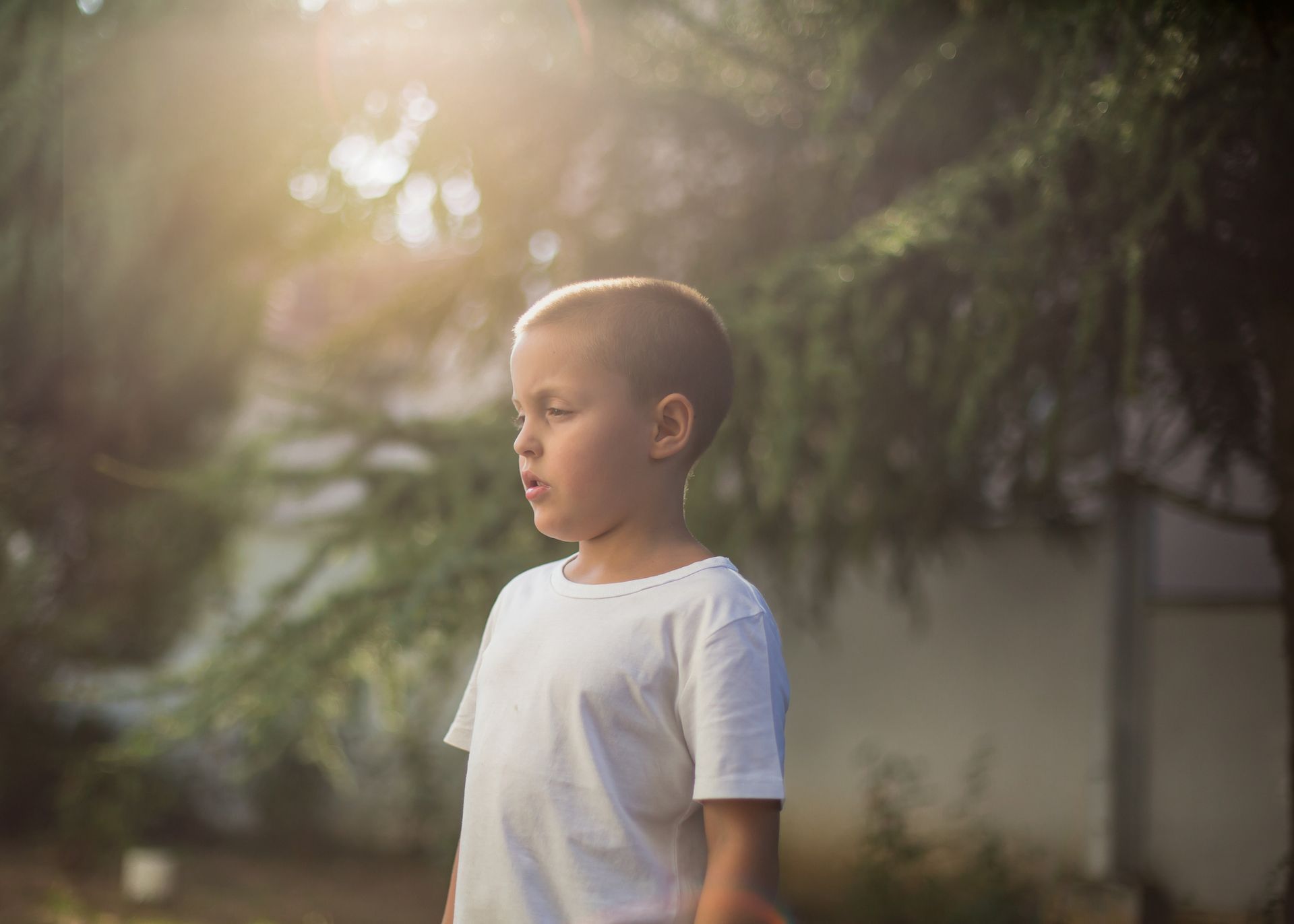 A young boy in a white shirt is standing in front of a tree.