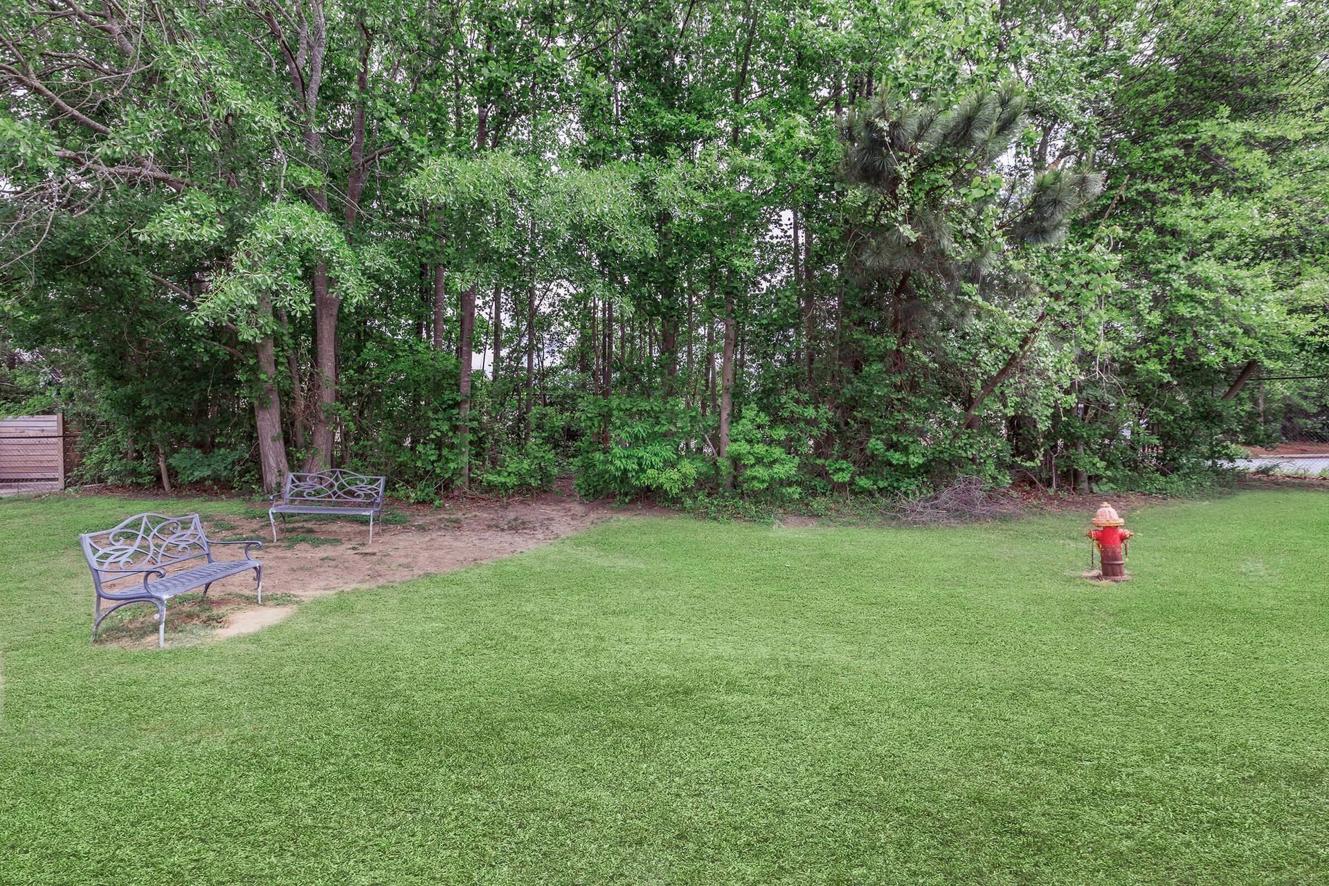 Grassy yard with a bench, trees in the background, and a red fire hydrant.