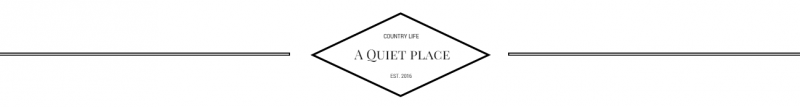A thin horizontal line with a central diamond containing the text 