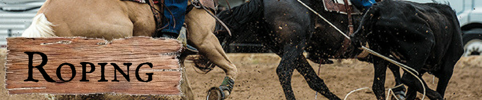 Two horses and riders performing calf roping in an arena, with a wooden sign reading 