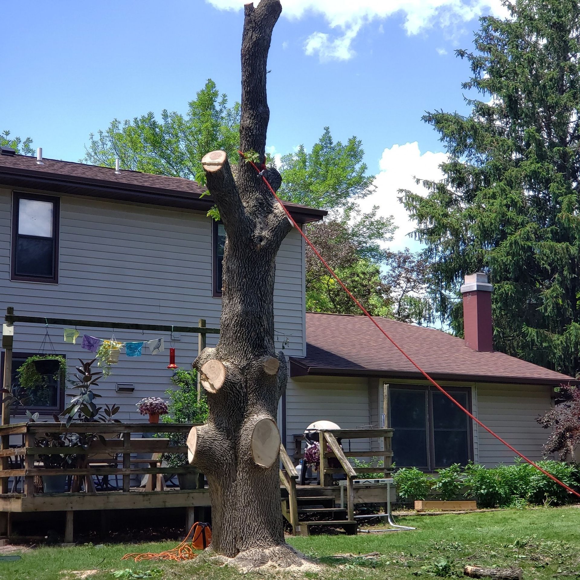 Partially cut tree next to a house with a deck. The tree trunk is brown and the house has a brown roof.