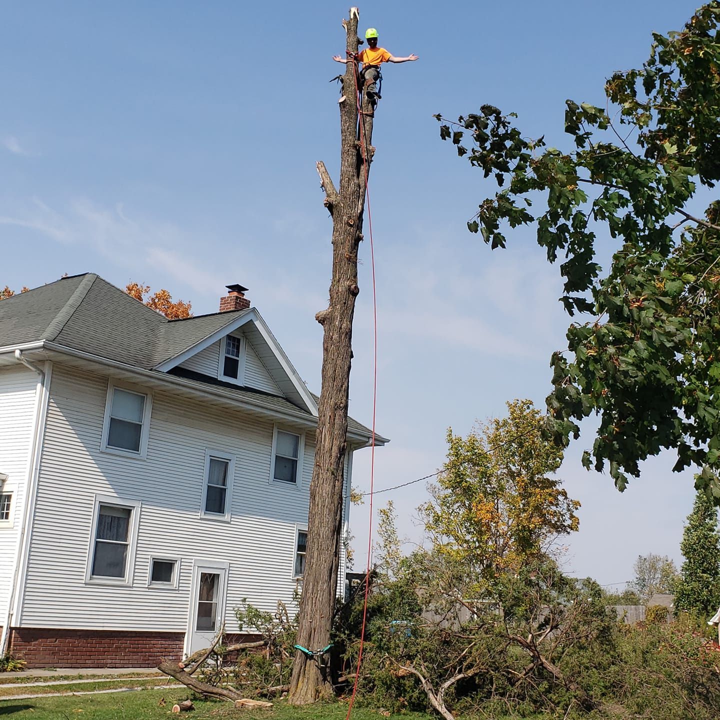 Arborist atop a tall tree trunk, cutting it down near a white house with a blue sky.