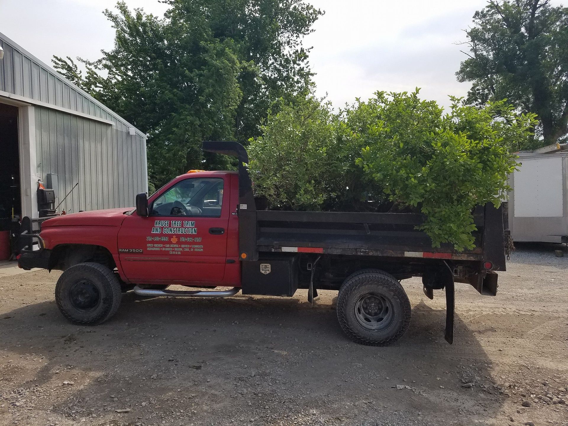 Red pickup truck carrying green plants in its bed, parked outside a building.