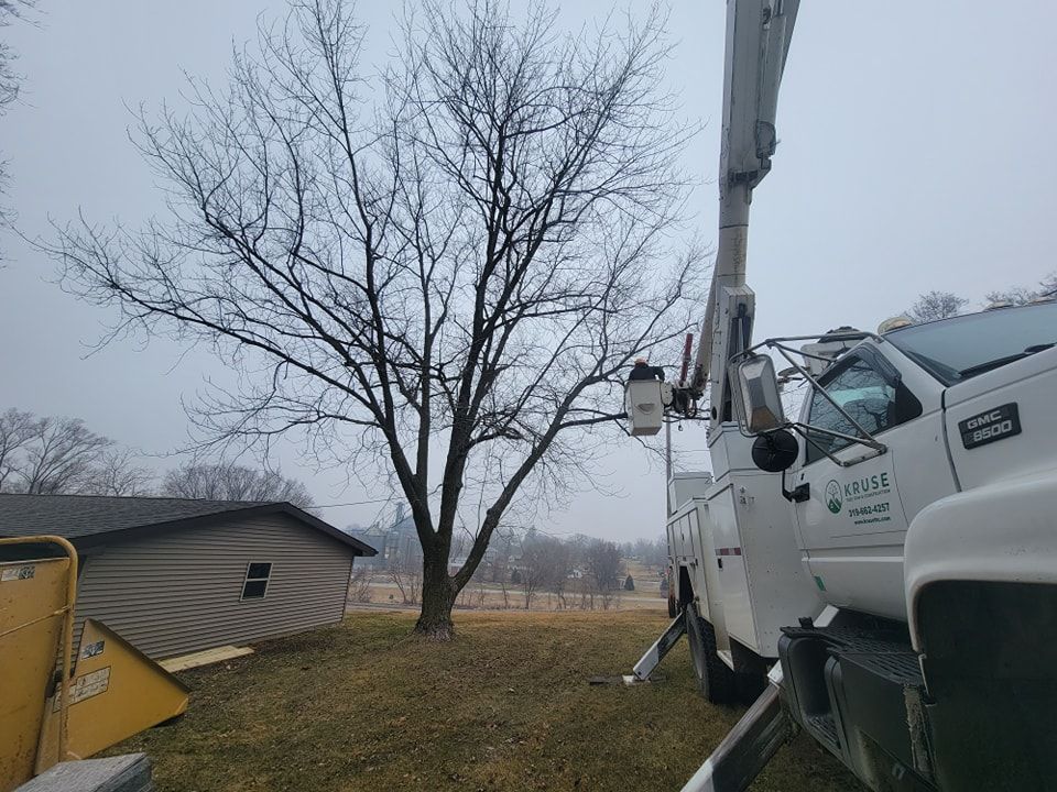 Tree trimming service truck near a bare tree and small building on a cloudy day.