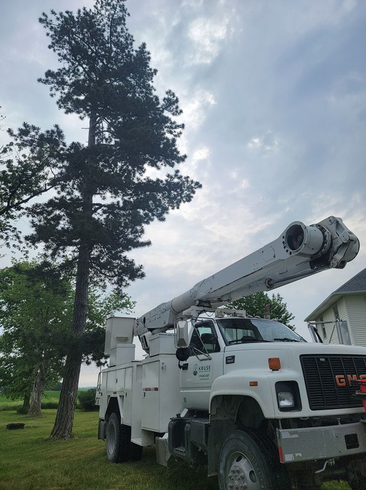 A white tree trimming truck extends a boom towards a tall pine tree under a cloudy sky.
