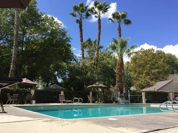 A swimming pool with clear blue water, palm trees, and a sunny sky.