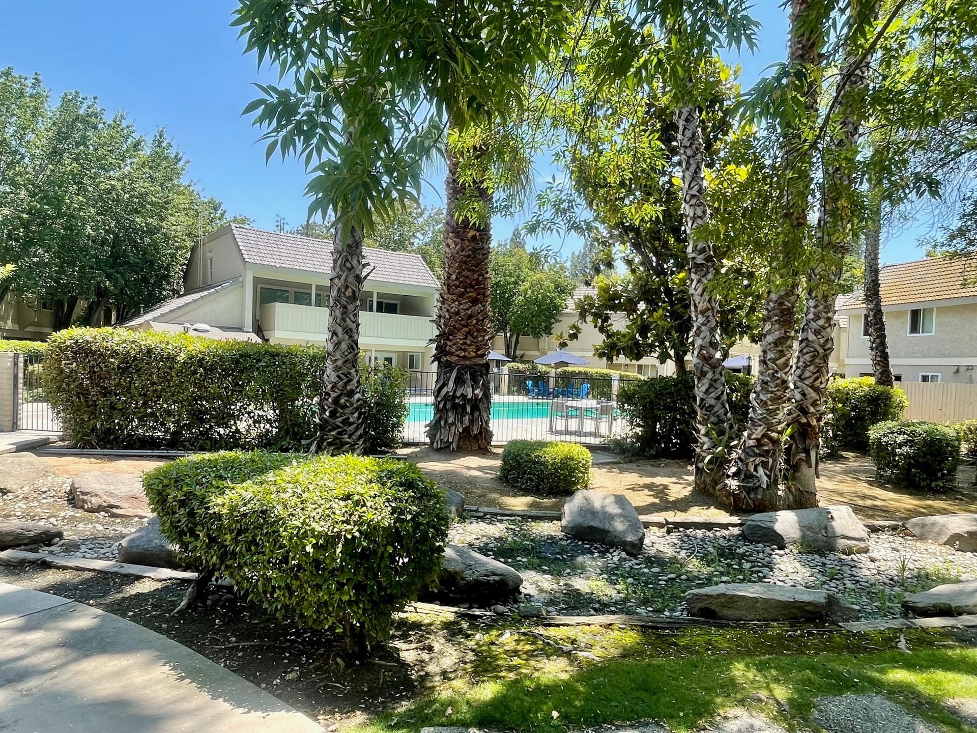 Swimming pool and buildings surrounded by trees and landscaping on a sunny day.