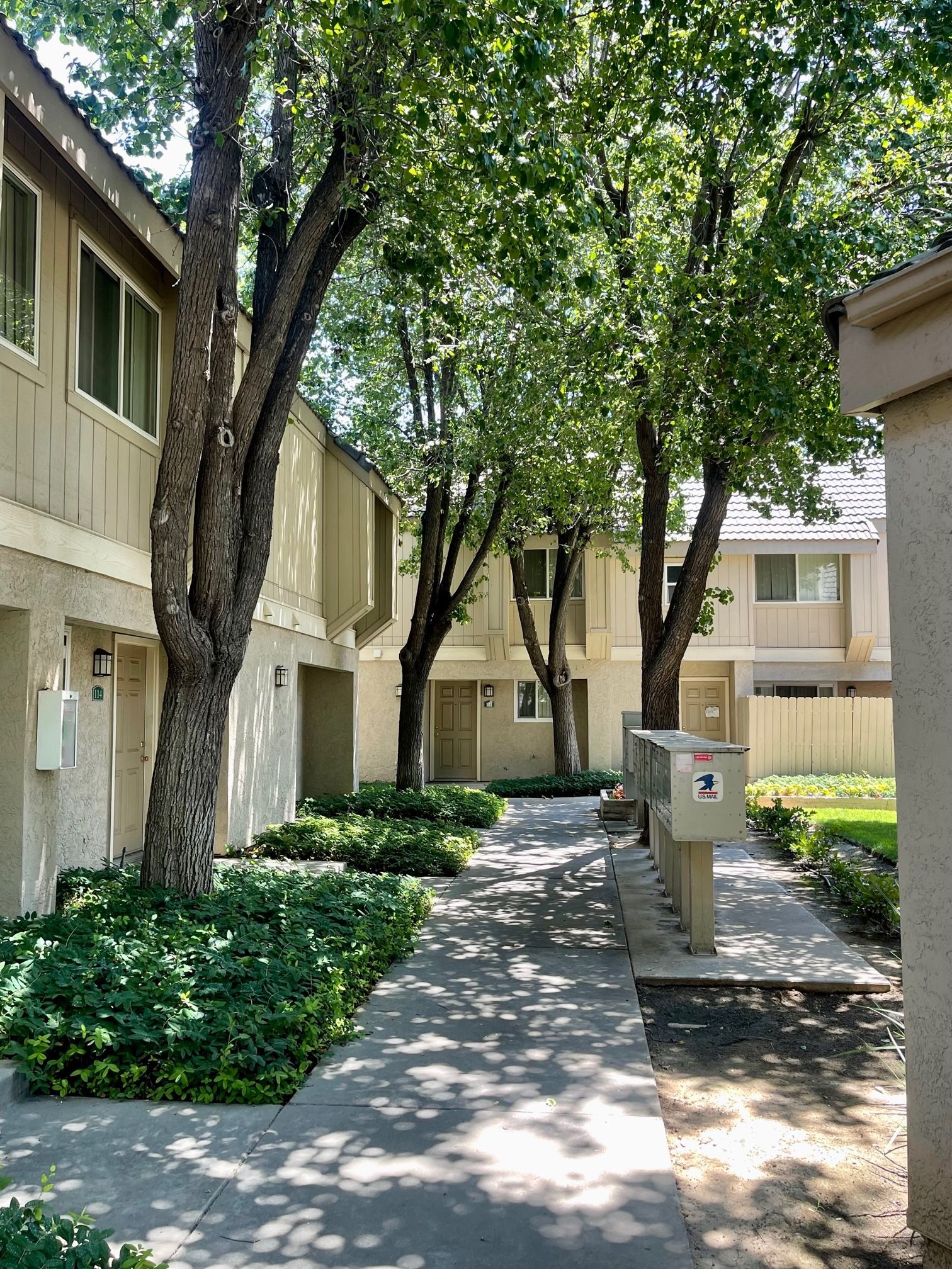 Pathway between apartment buildings, lined with trees and shrubbery.