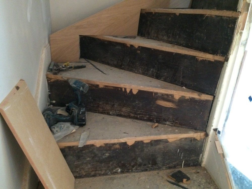 Evolution Stairs - Woodclad - Clarenden project