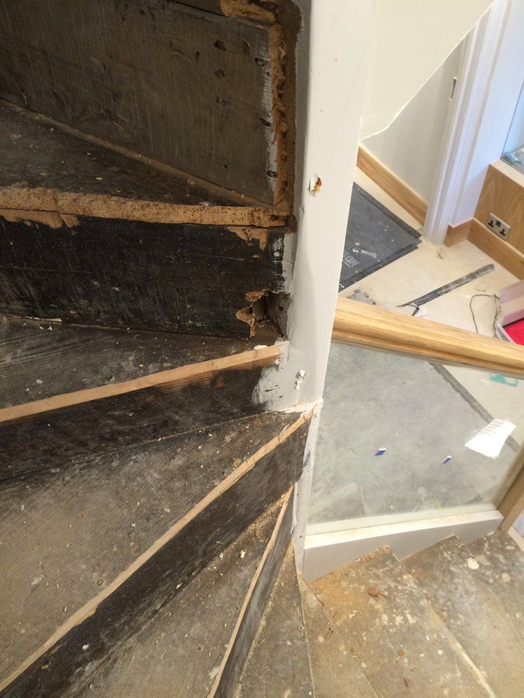 Evolution Stairs - Woodclad - Clarenden project