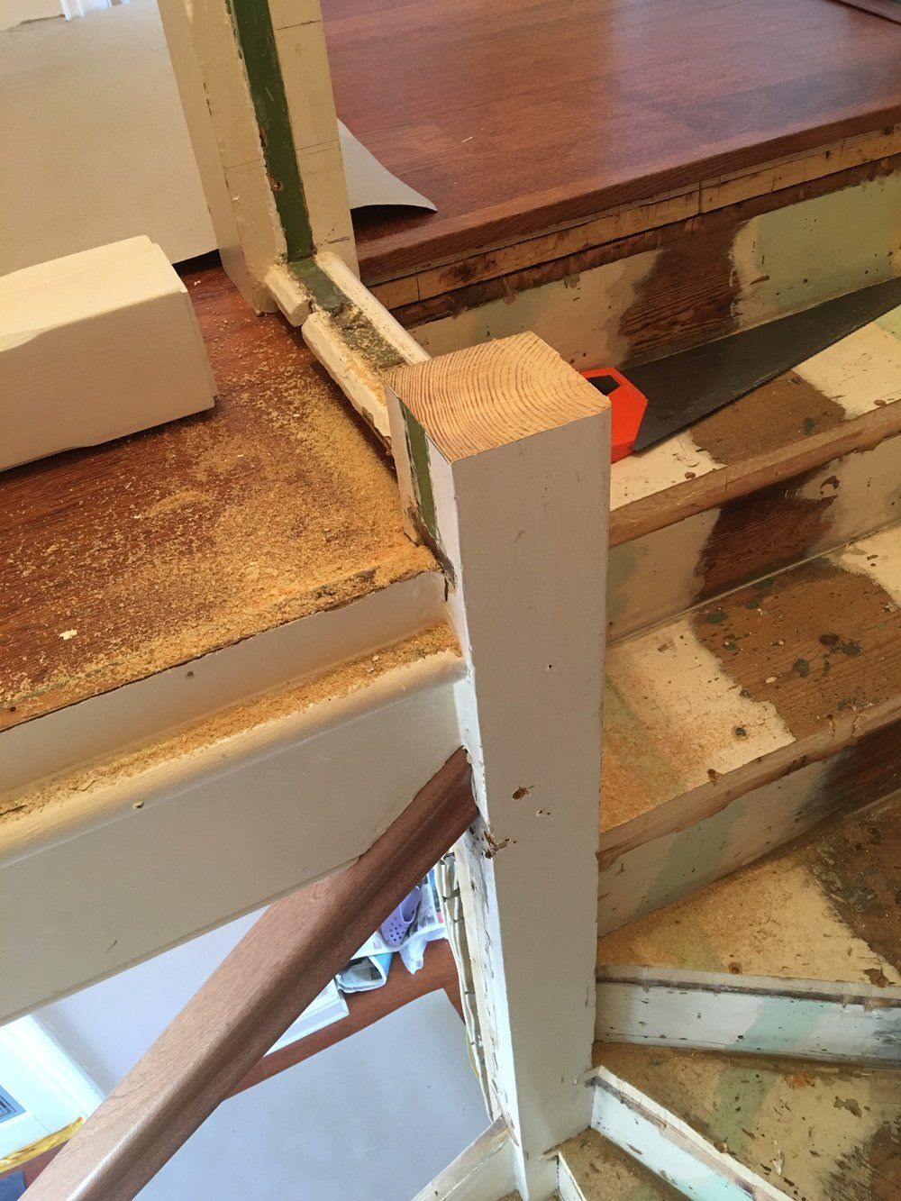 Evolution Stairs - Woodclad - Dawkins project