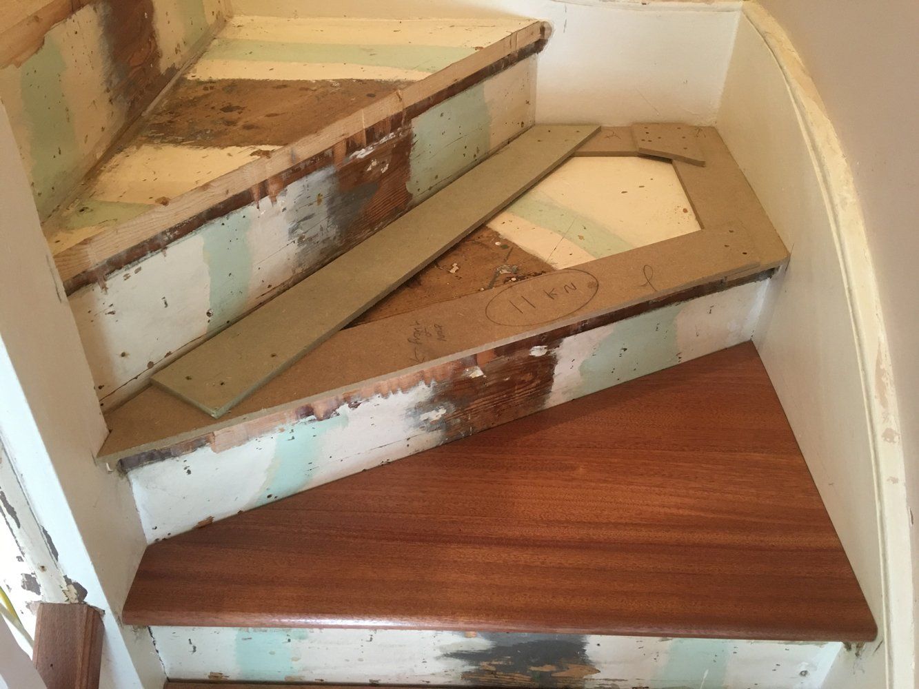 Evolution Stairs - Woodclad - Dawkins project