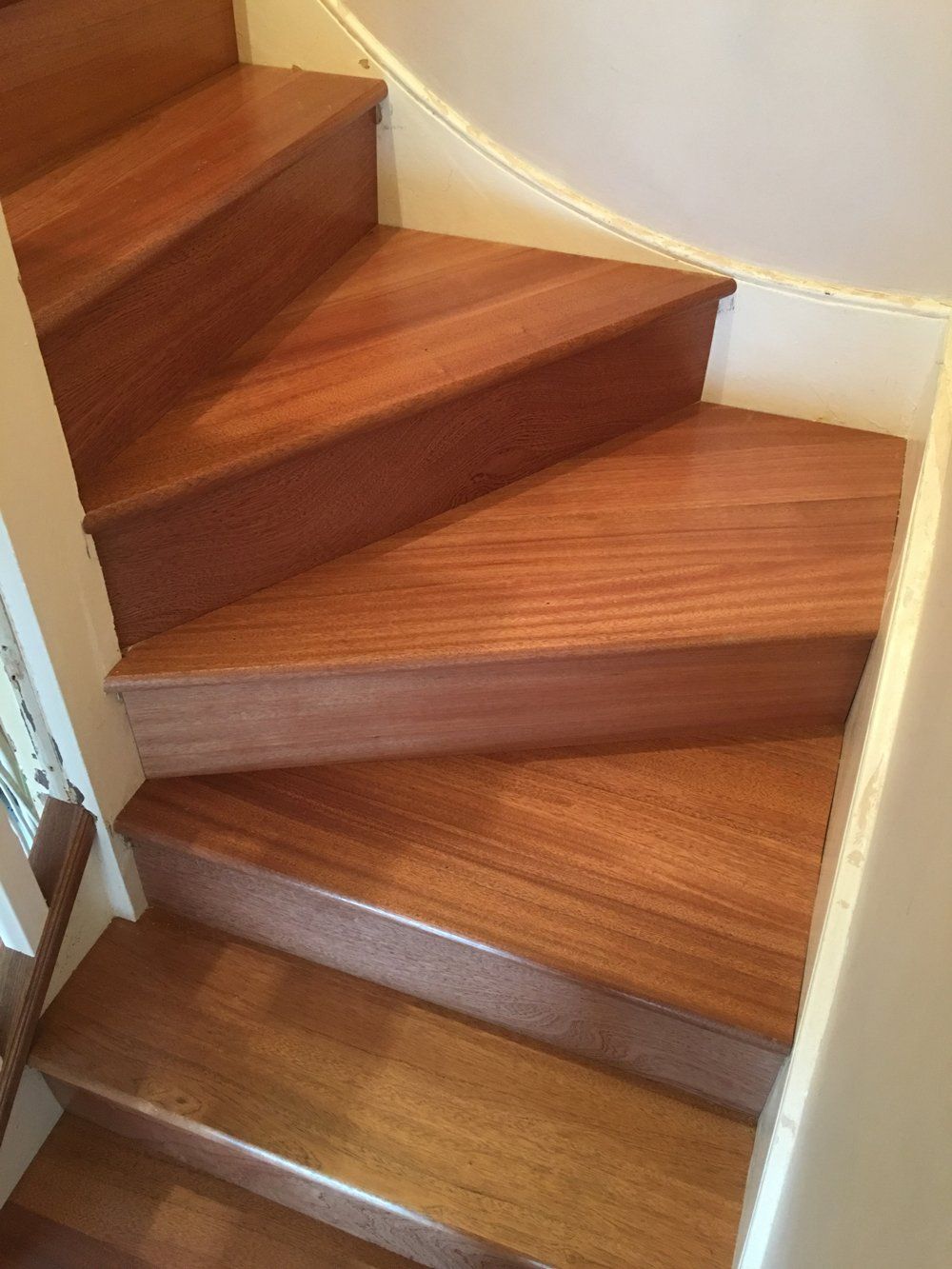 Evolution Stairs - Woodclad - Dawkins project