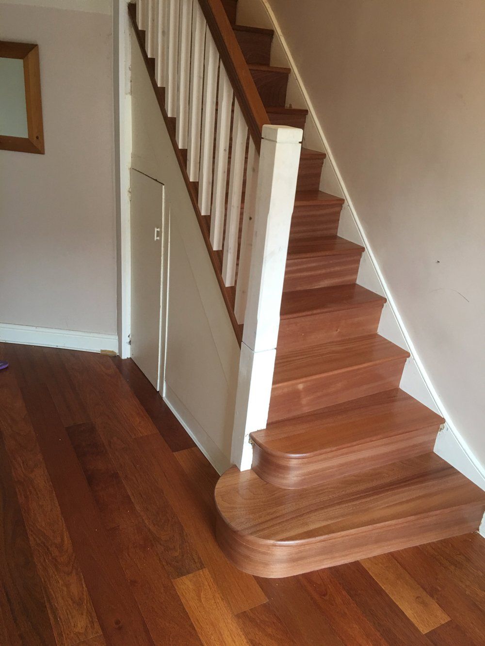 Evolution Stairs - Woodclad - Dawkins project