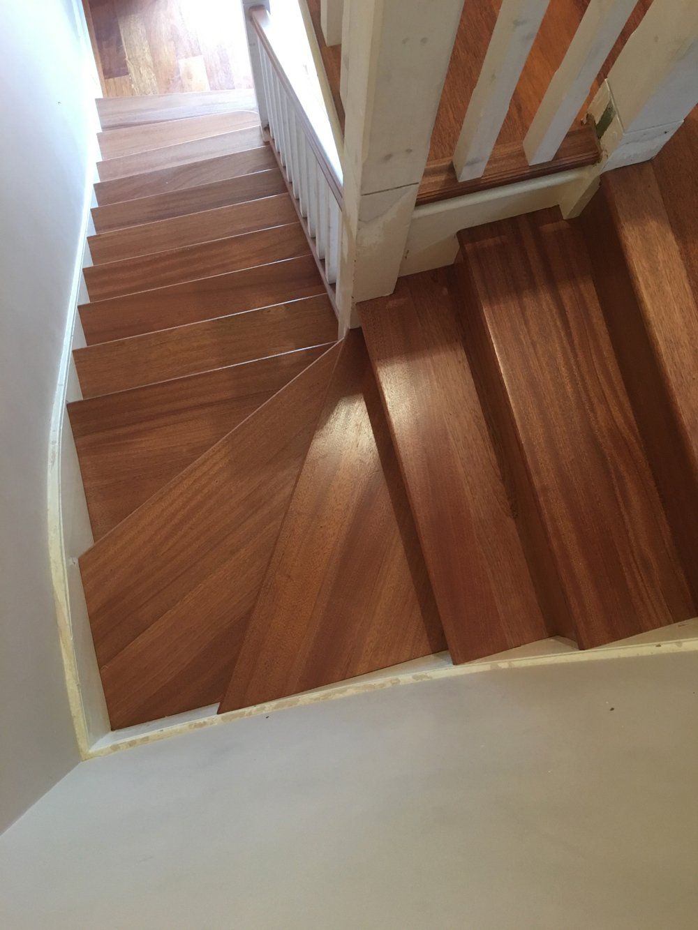 Evolution Stairs - Woodclad - Dawkins project