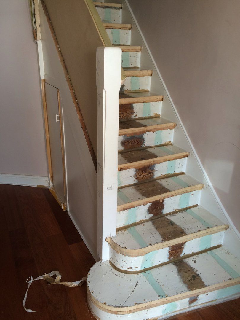 Evolution Stairs - Woodclad - Dawkins project