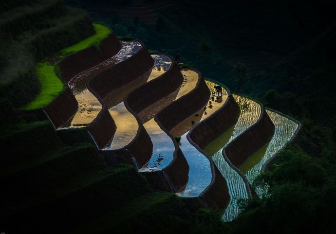 Image of an agricultural field.