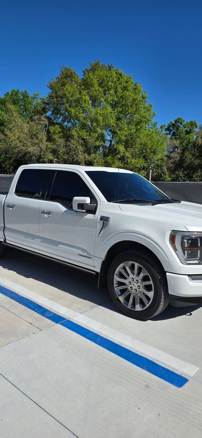 White pickup truck parked in a sunny lot beside a blue line, with trees and a clear sky in the background