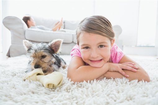 Odor Removal — Dog and Beautiful Child Lying on Carpet in Columbus, GA