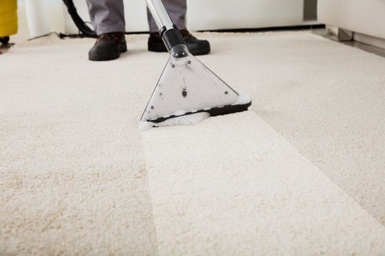 Siding Cleaning — Professional Cleaner Cleaning Carpet Using Vacuum with Soap in Columbus, GA
