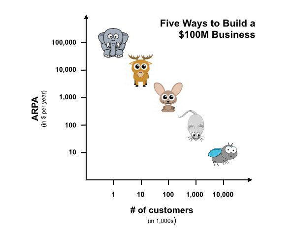 the angel vc como construir negócios saas 100m faturamento