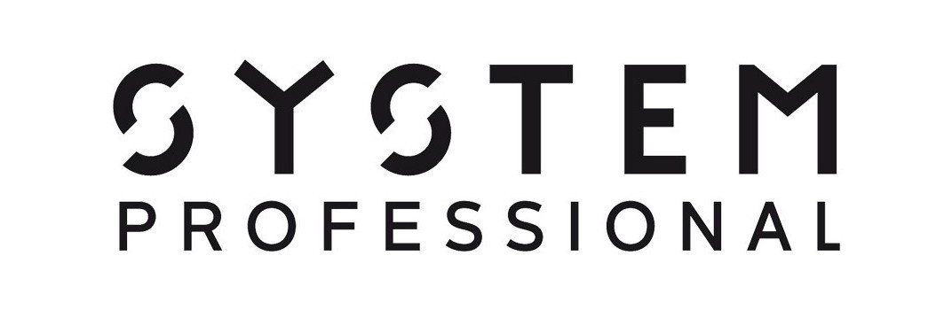 logo System Professional
