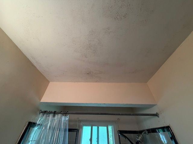 Mold-stained ceiling above a window with sheer curtains and a curtain rod