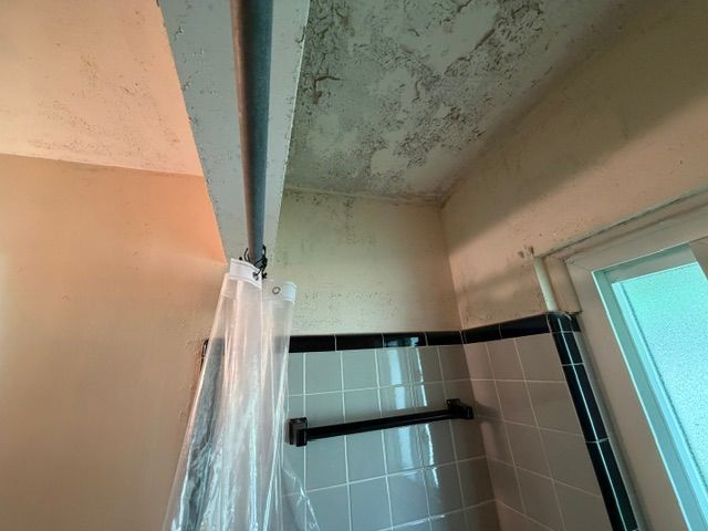 Peeling bathroom ceiling above a tiled shower with a black shower rod and curtain