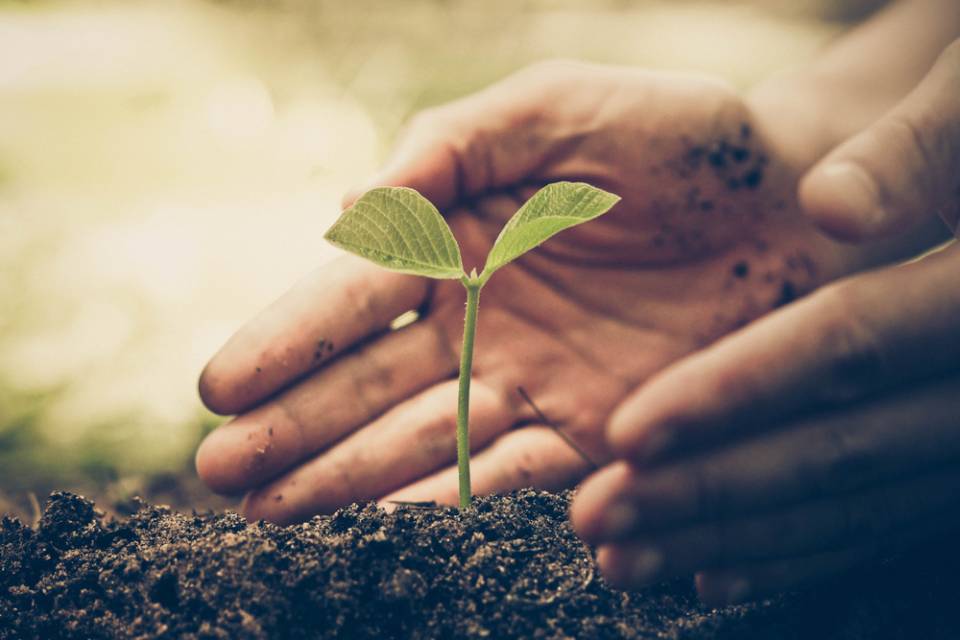 tutela dell'ambiente