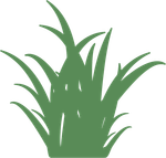 Un dessin d'une plante d'herbe verte sur fond blanc.