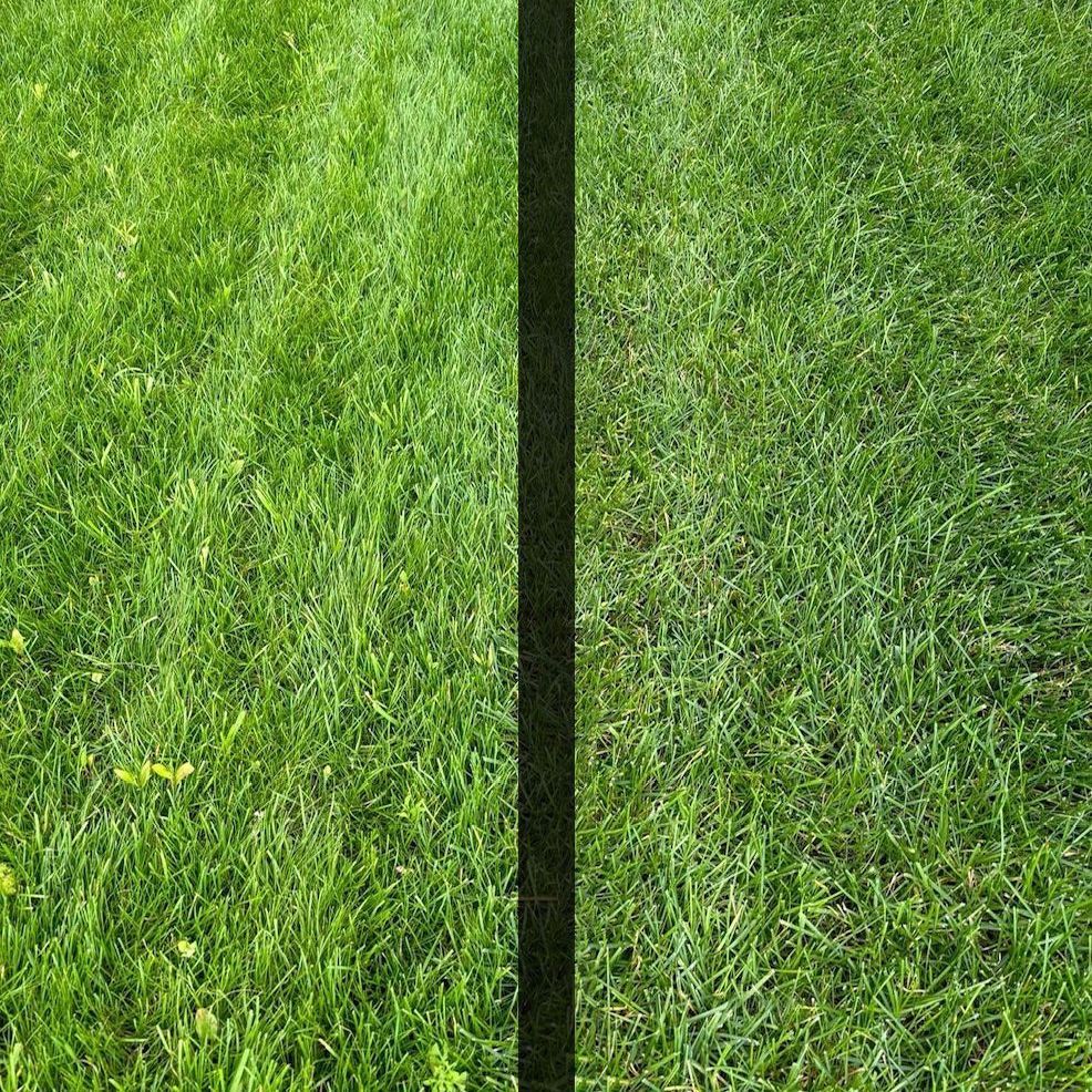 Une photo d'une pelouse avant et après avoir été tondue.