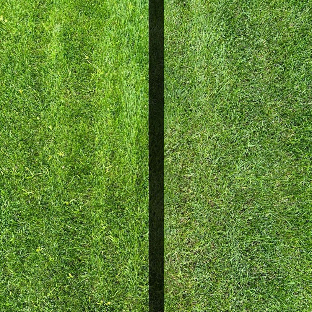 Une photo d'une pelouse avant et après avoir été tondue.