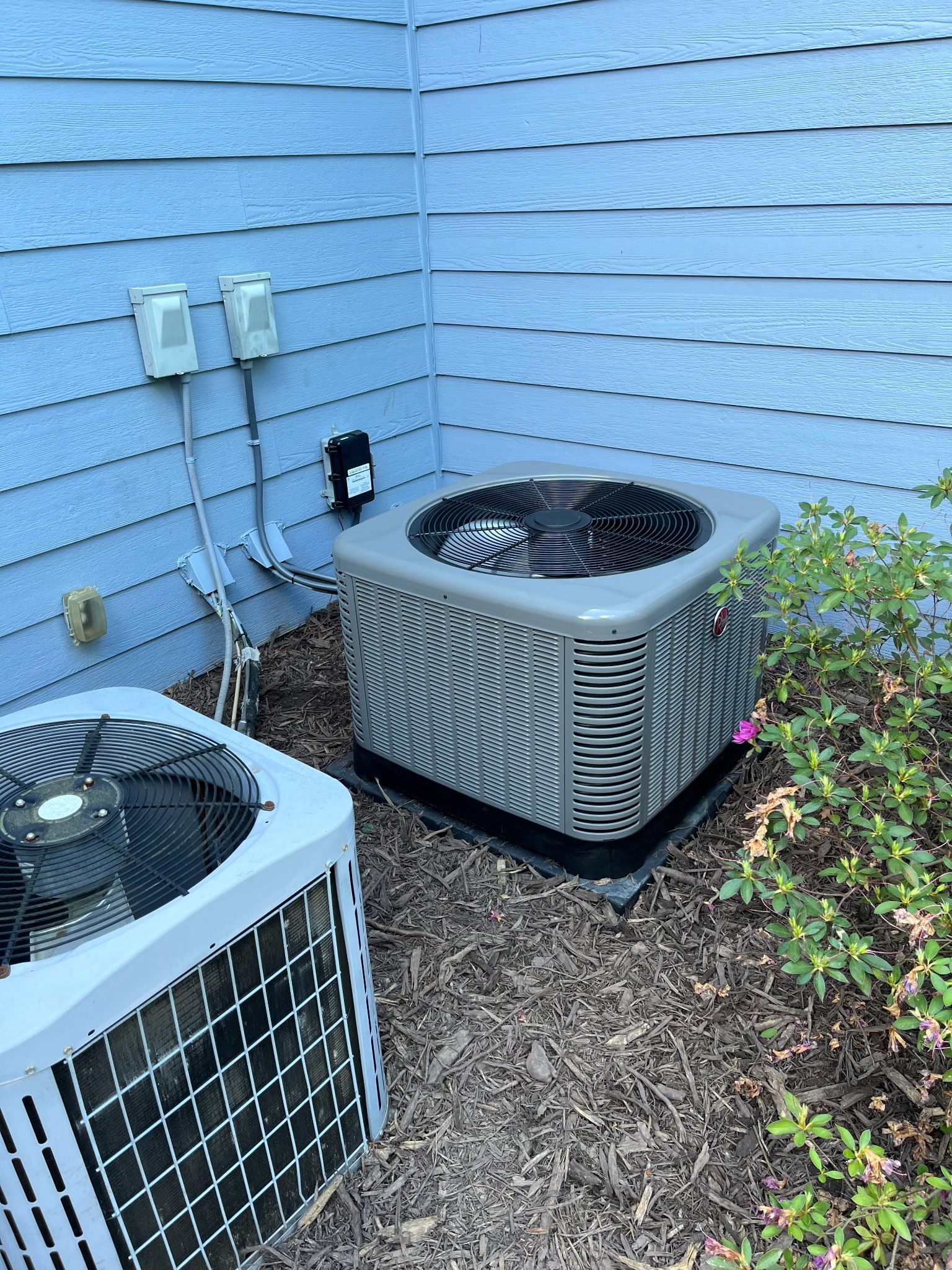 Two air conditioning units sitting next to a blue-sided building, surrounded by mulch and greenery.