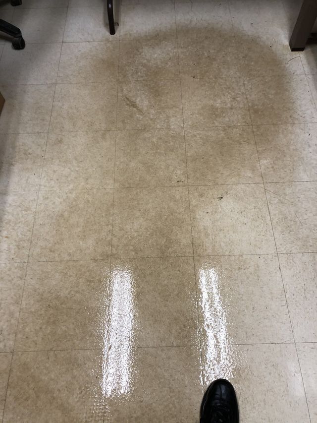 Dirty linoleum floor with two wet, bright white reflective stripes and a dark circular stain. Black shoe in bottom right.