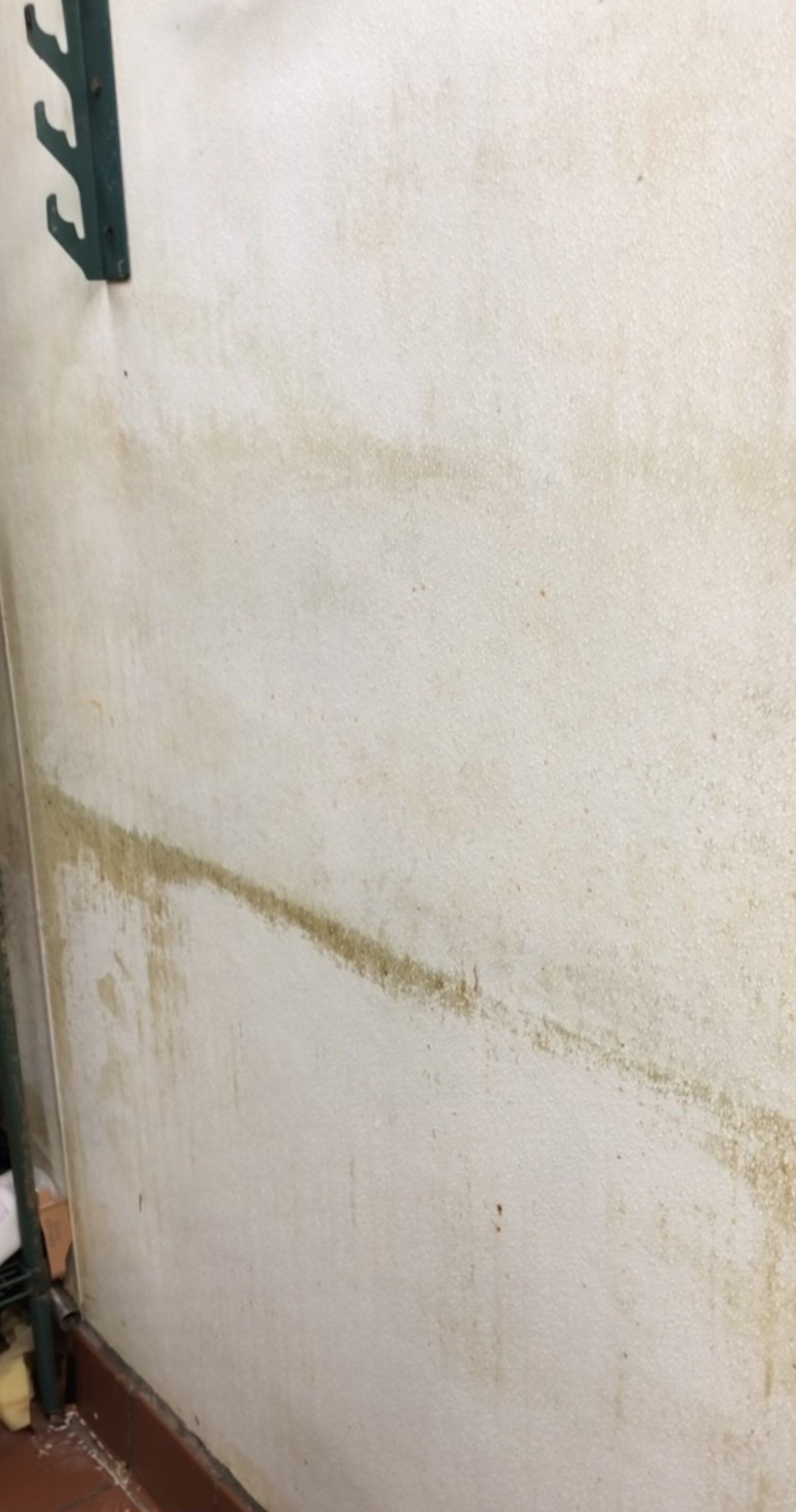 Moldy, stained wall with horizontal and diagonal brown discoloration. A black hook and floorboard are visible.