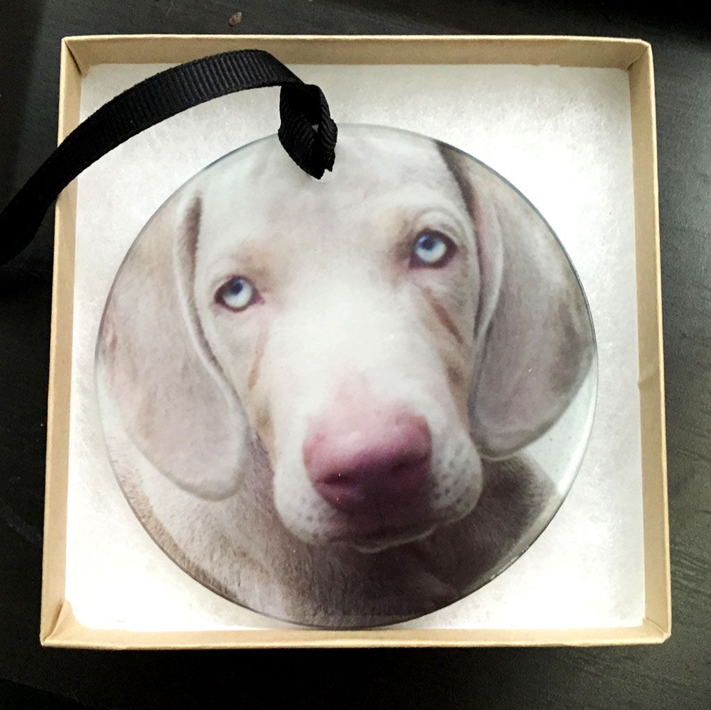 Round dog portrait ornament in a box, showing a white dog with blue eyes and a pink nose.