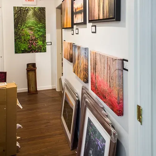 Gallery hallway with framed landscape prints leaning and hanging on white walls, wood floor visible