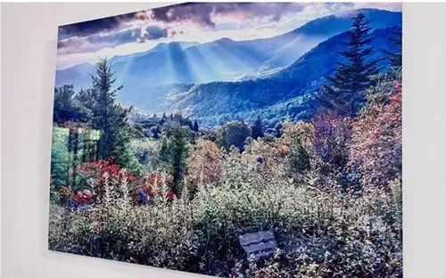 Sunlit mountain valley with wildflowers, trees, and a bright blue sky