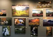 Gallery wall of landscape photos and a fish sculpture on a dark wall.
