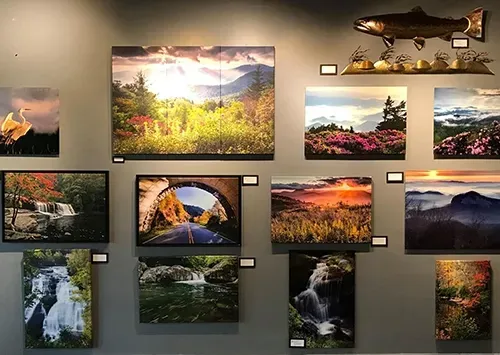 Wall of framed landscape photos and a mounted fish on a gray gallery wall