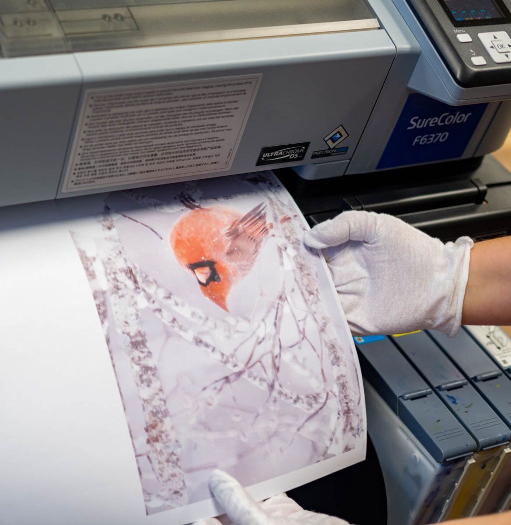 Gloved hand holding a printed sheet with an orange animal on a large printer
