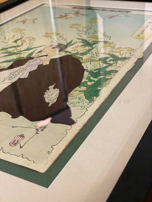 Framed botanical map print on a wall, viewed at an angle, with a dark silhouette obscuring part of it