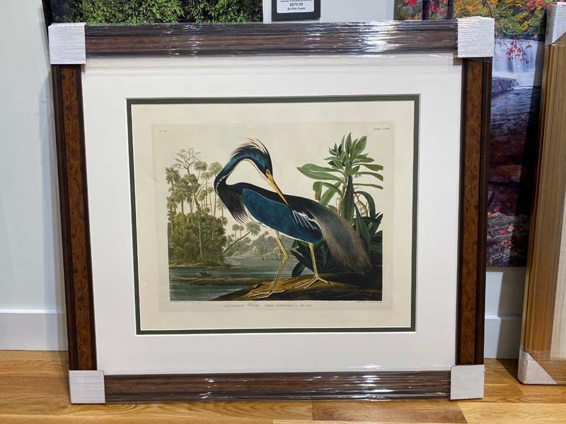 Framed print of a blue heron in a marsh scene with palm trees and a cream mat.