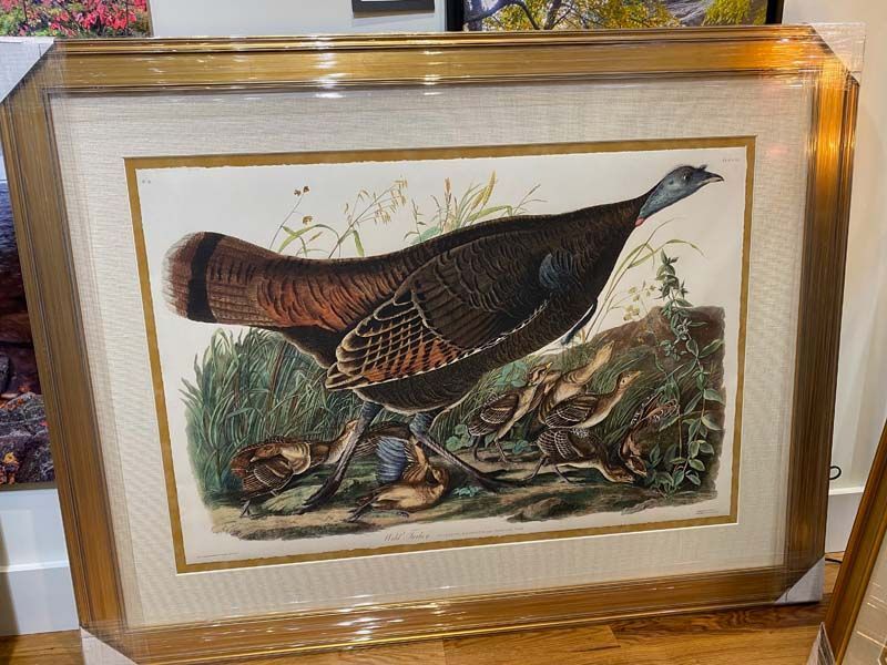 Framed artwork of a brown bird standing in grass with a gold border