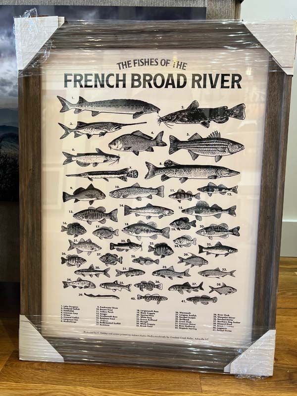 Framed poster of fish species labeled “The Best of the French Broad River”