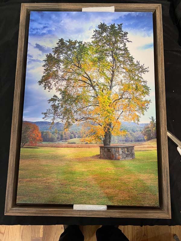 Framed landscape painting of a sunlit tree in a grassy field under a blue sky