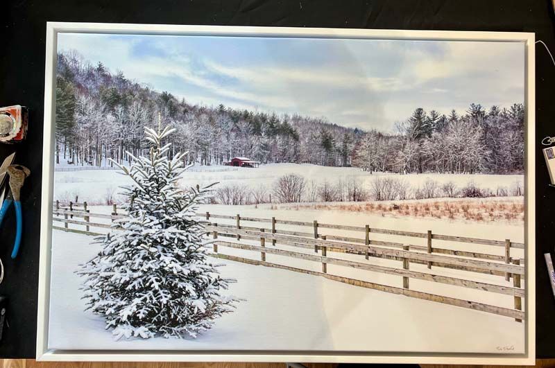 Snowy winter landscape with a pine tree, wooden fence, and forested hills under a cloudy sky