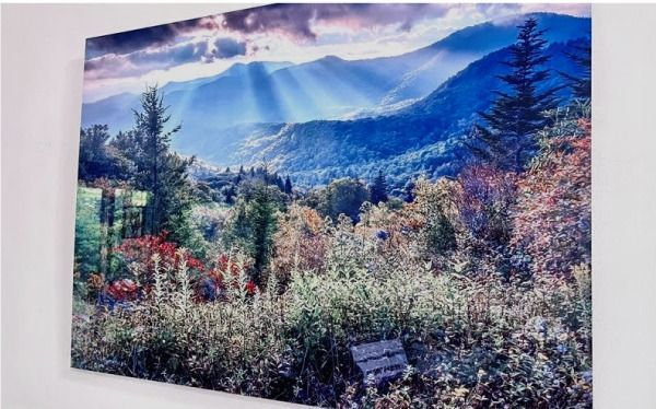 Sunlit mountain landscape with forest, wildflowers, and distant blue peaks under a dramatic sky