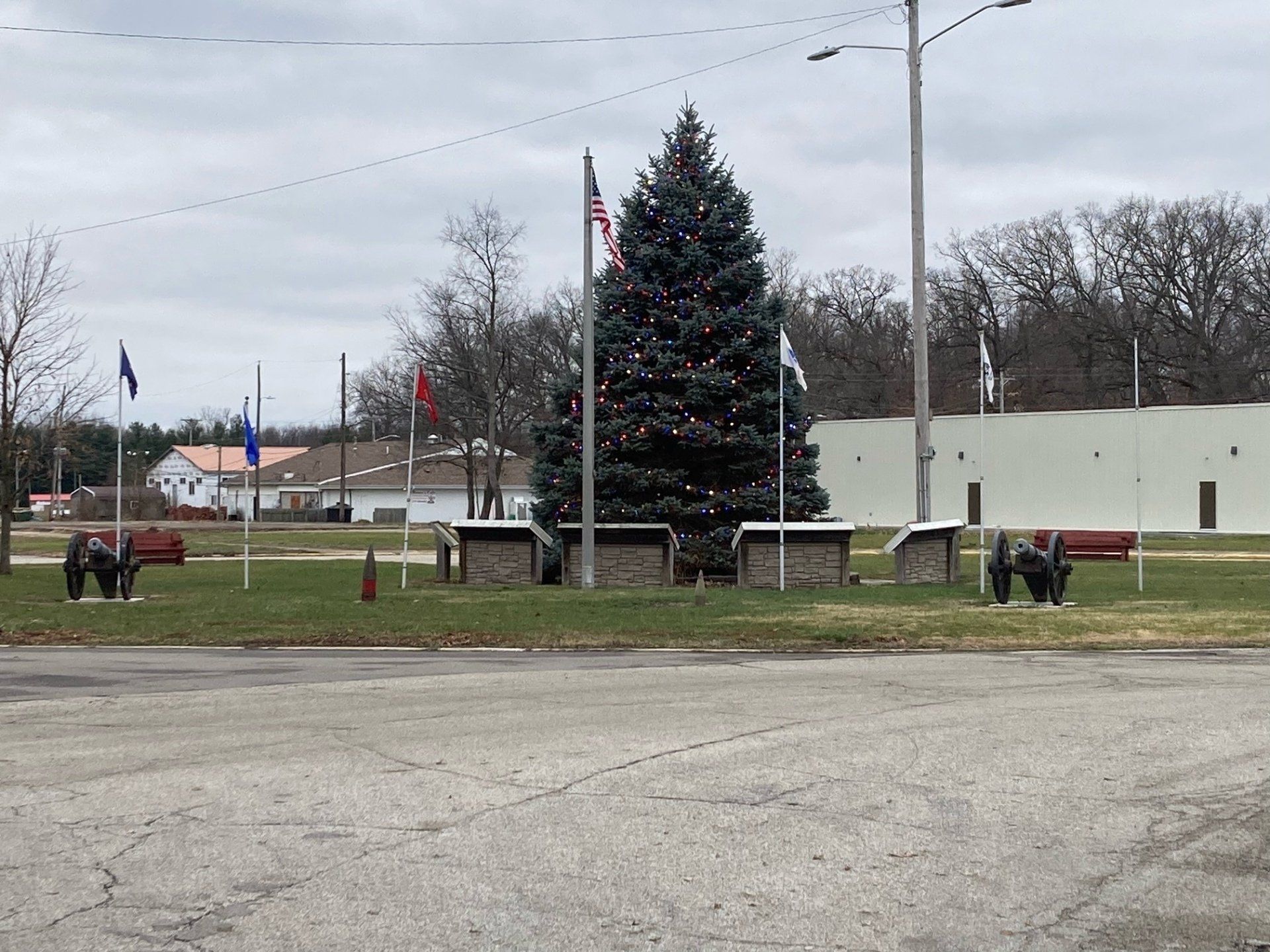 A christmas tree is in the middle of a park