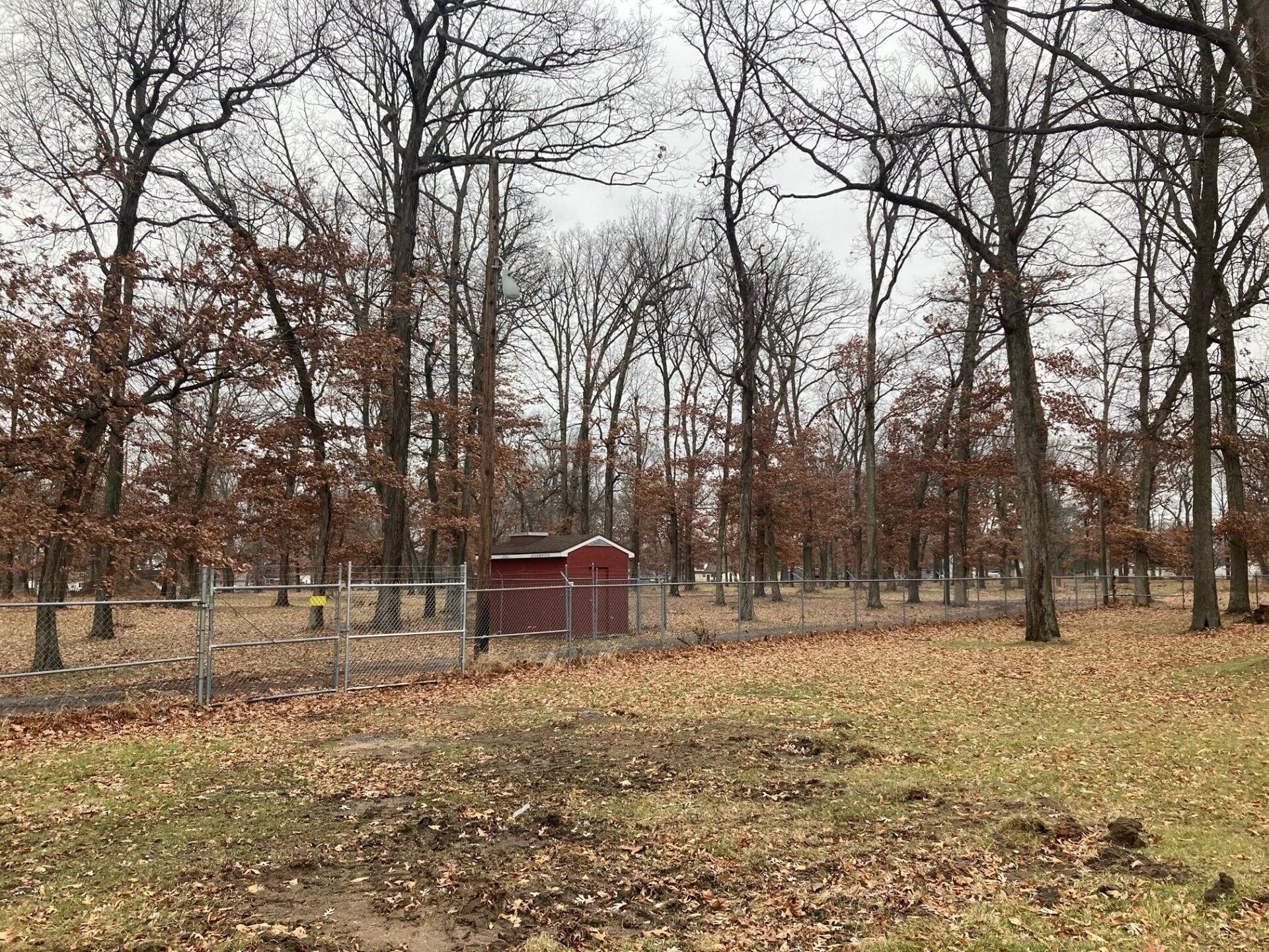 There is a red barn in the middle of a forest.